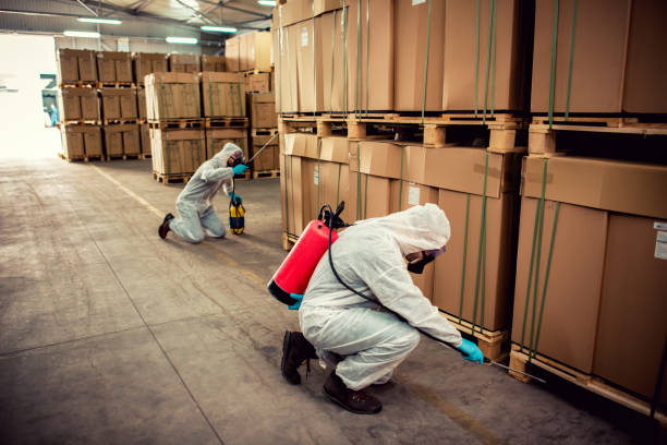 Best Pest Inspection Near Me  in Laurel, FL