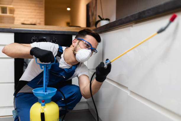 Best Residential Pest Control  in Laurel, FL