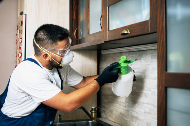Best Commercial Pest Control Services  in Laurel, FL