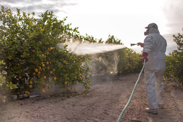 Best Commercial Pest Control Services  in Laurel, FL